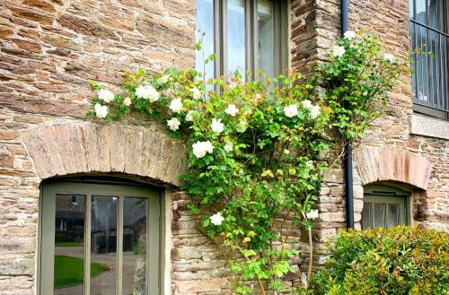 Gorgeous Little Cottage Barn Retreat Kingsbridge
