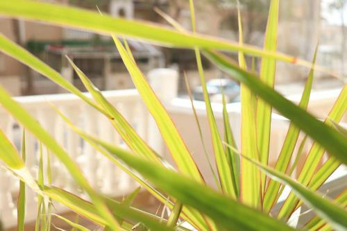 Apartamento Completo Villa Cristal