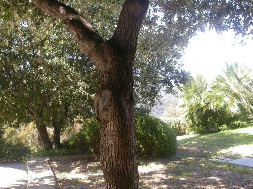 Villa Manobianco Biodola
