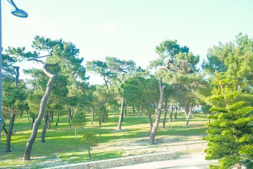 Apartamento Appart' Cocooning � 100m De La Mer - Mar I Munt