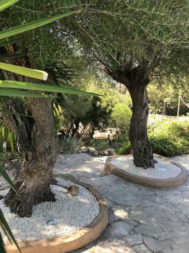 Magnifique Villa Avec Chemin�e