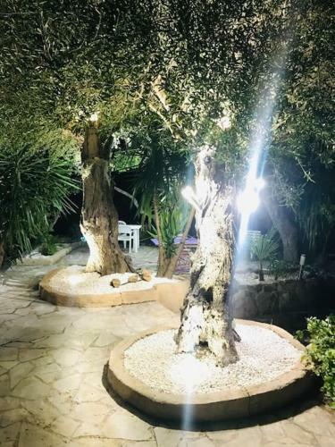 Magnifique Villa Avec Chemin�e