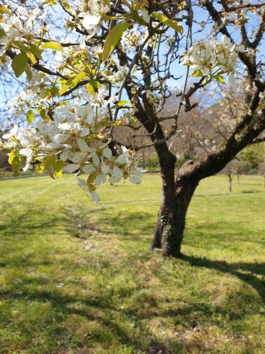 Mobilhome � Salernes - Gorges Du Verdon