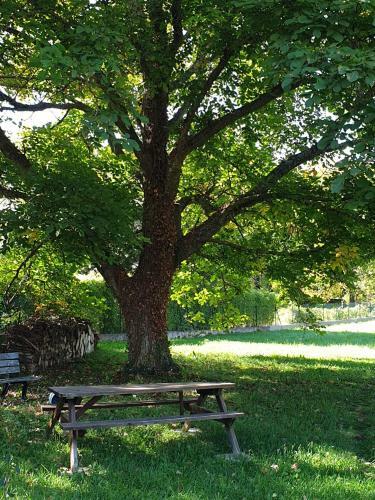 Mobilhome � Salernes - Gorges Du Verdon