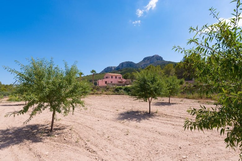 Villa Vinyent