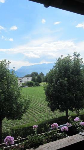 Hotel Schatzmann