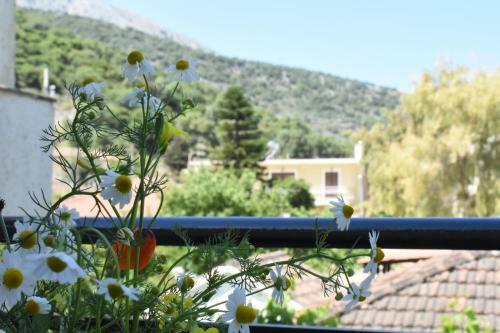Starvillas Apartments And Studios