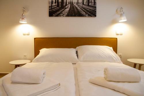 Apartments Montis Golte