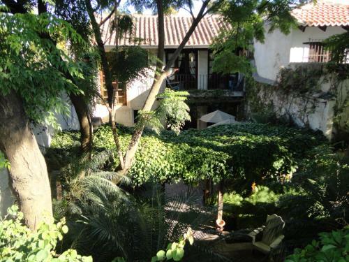 Apartamento Cissus Hotel Boutique
