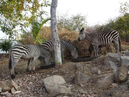 Hotel Lake Kariba Inns