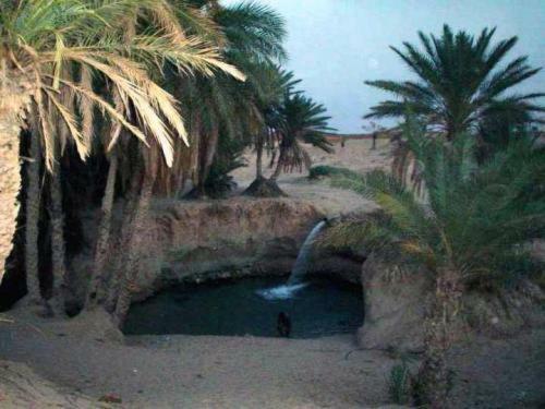 Hotel R�sidence El Arich