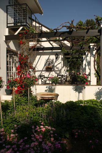 Bed & Breakfast Lemon & Lime Guesthouse