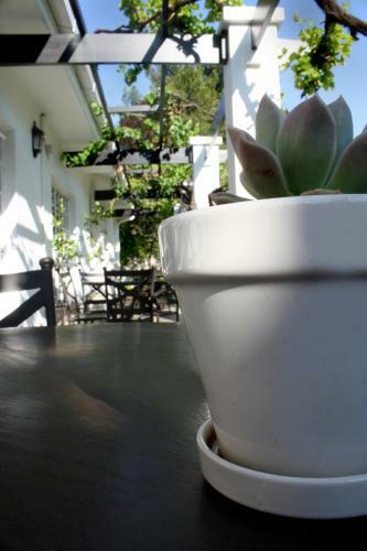 Bed & Breakfast Lemon & Lime Guesthouse