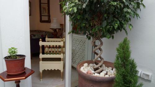 Hostal El Patio Courtyard House