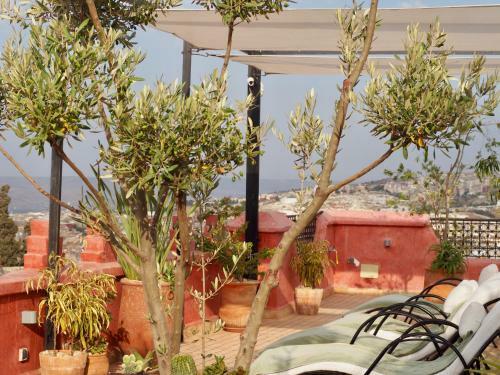 Riad Toyour- Riad Of Birds