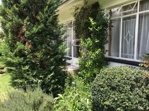 Bed & Breakfast Rosewood Corner, Clarens