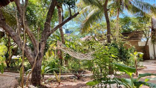Hotel Atii Garden Bungalows