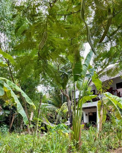 Hotel Atii Garden Bungalows