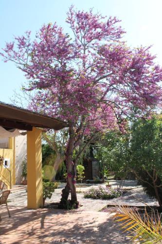 Hostal Agroturismo Son Estrany