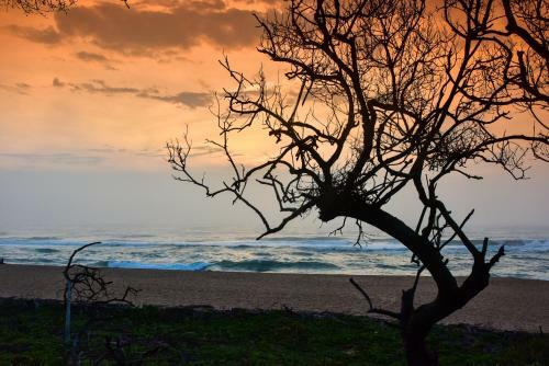 Hotel La Lucia Sands Beach Resort