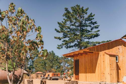 Lodge Caba�as Rancho Viejo