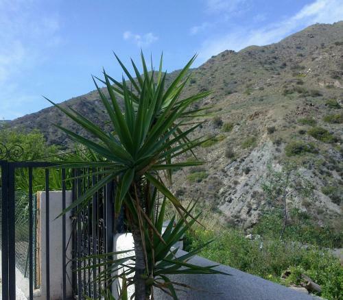 Hostal Pensi�n Restaurante Venta El Molino