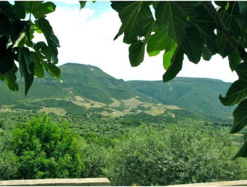Alghero, Villa Mimosa With Garden For 67 People