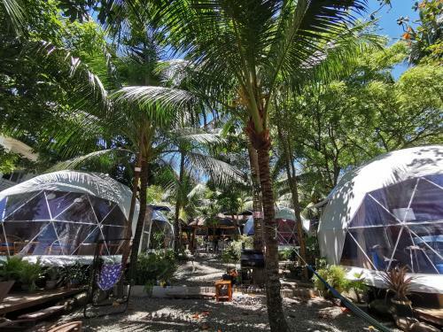 Glamping Dome Dauin Beach + Dive Resort