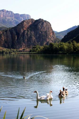 La Noguera Camping