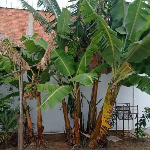 Casa De 3 Dorm Pr�x Unesp Botucatu