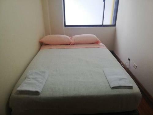 Lindo Apartamento En Zona Rosa