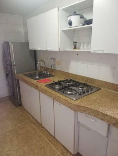 Lindo Apartamento En Zona Rosa