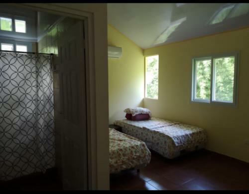 Hostal Ballena & Palm House