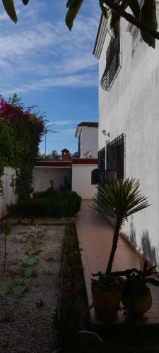 Hostal Magnifique Suite Avec Salle De Bain Et Terrasse