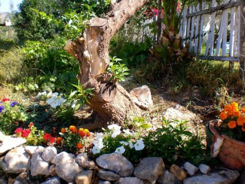 Villa Cortijo Pulgar�n Bajo