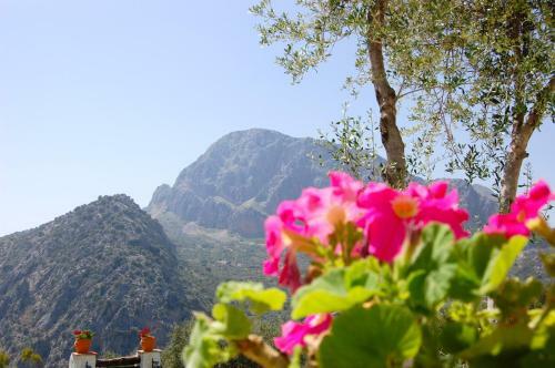 Villa Cortijo Pulgar�n Bajo