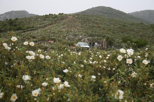 Hostal La Posada Del Corral�n