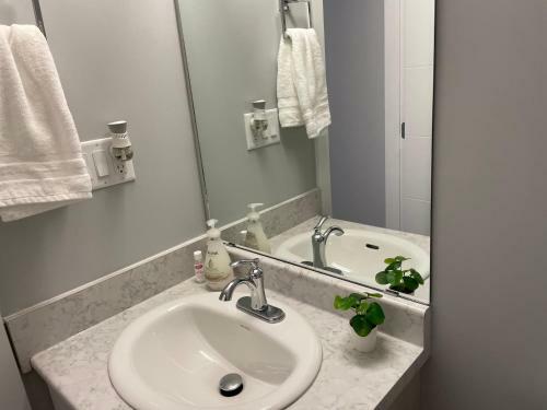 Hamm Suite