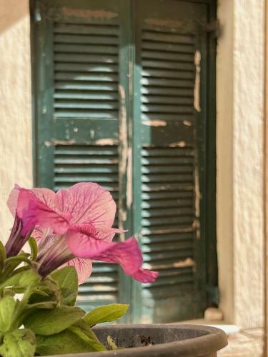 Apartamento Casa Di Porto