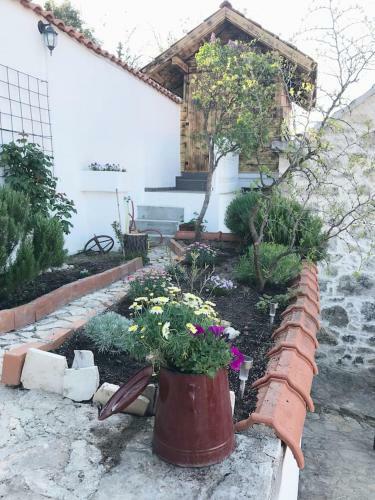 Dalmatinska Ku?a Terace