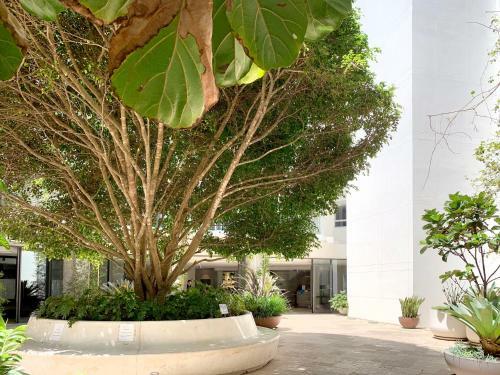 Apartamento Miss Baker's Boutique Accommodation Bondi