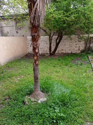 Apartamento Studio Boll�ne