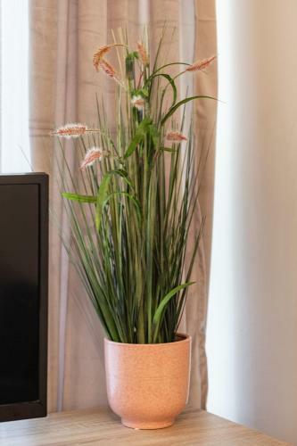 Apartament Spacerowa ?uk?cin By Renters