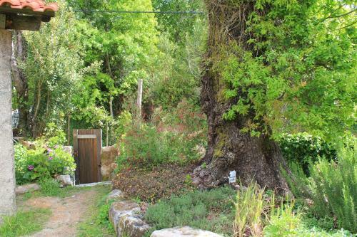 Casa De Vilar De Rei - Ref�gio No Minho Com Piscina