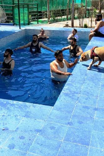 Riverdale-kasauli.swimming Pool,rain Dance,bonfire