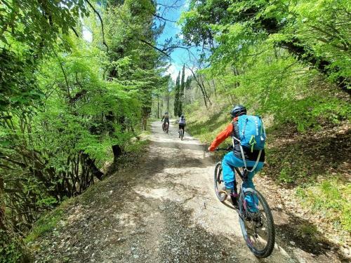 Apartamento Bed & Bike Frasassi