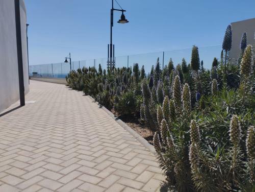 Apartamento Panor�mica Higuer�n Playa