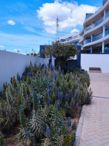 Apartamento Panor�mica Higuer�n Playa