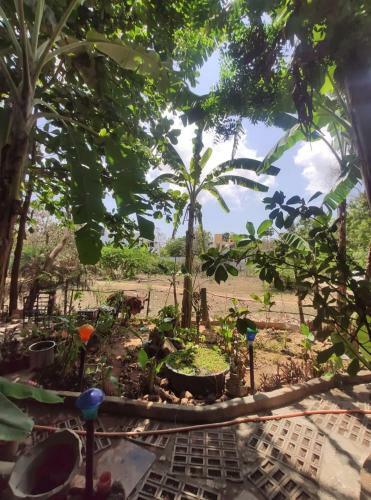 Mother Land Home Stay