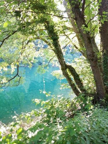 Apartamento Appartamento Levico Lake